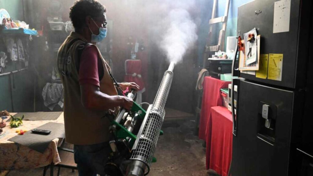 muertes por dengue