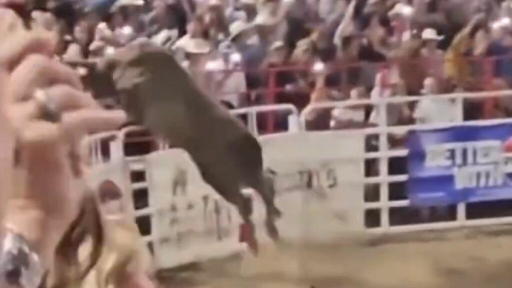 Toro salta valla y lesiona a tres personas en un rodeo de Oregón