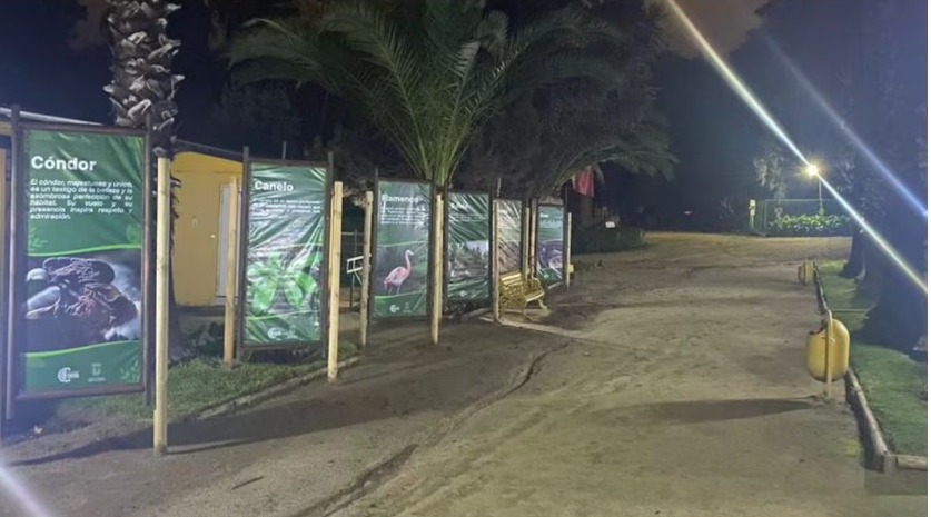 Zoologico de chile