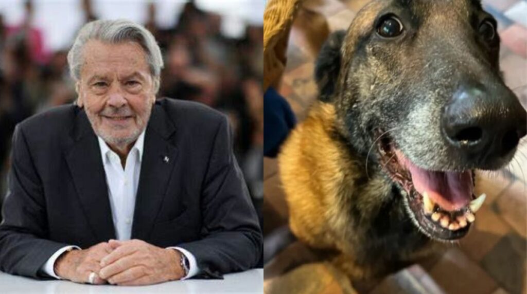 El perro de Alain Delon