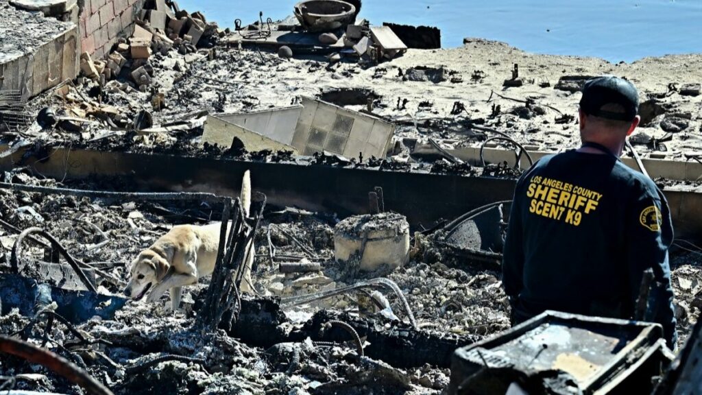 Sube a 24 cifra de muertos en incendios de Los Ángeles con vientos aún más peligrosos