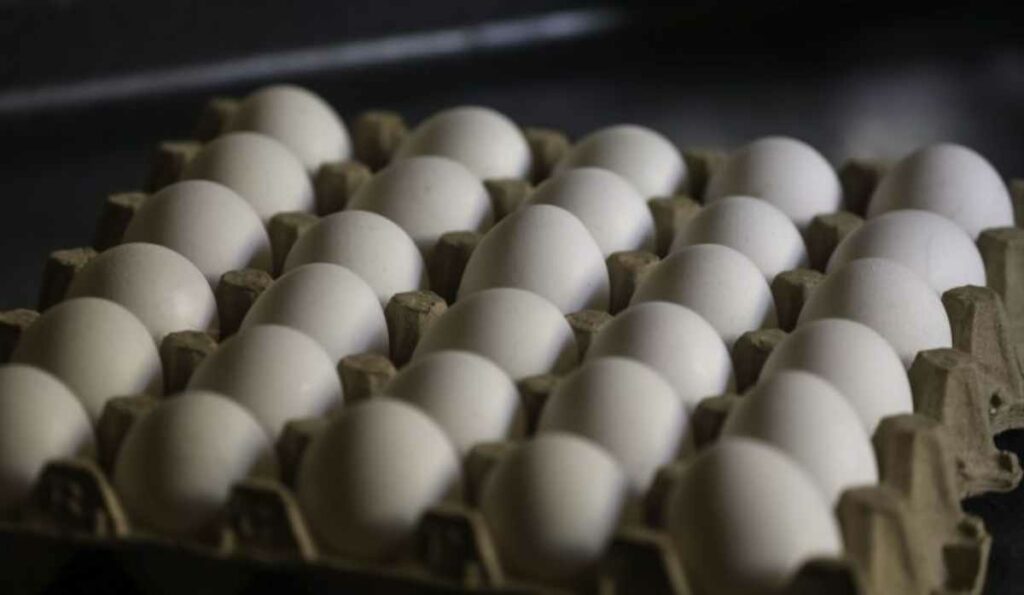 Alerta en EE.UU.: retiran casi 19 millones de huevos por salmonela; hay 98 enfermos y 26 hospitalizados