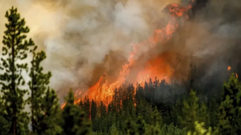 incendios en Canadá 