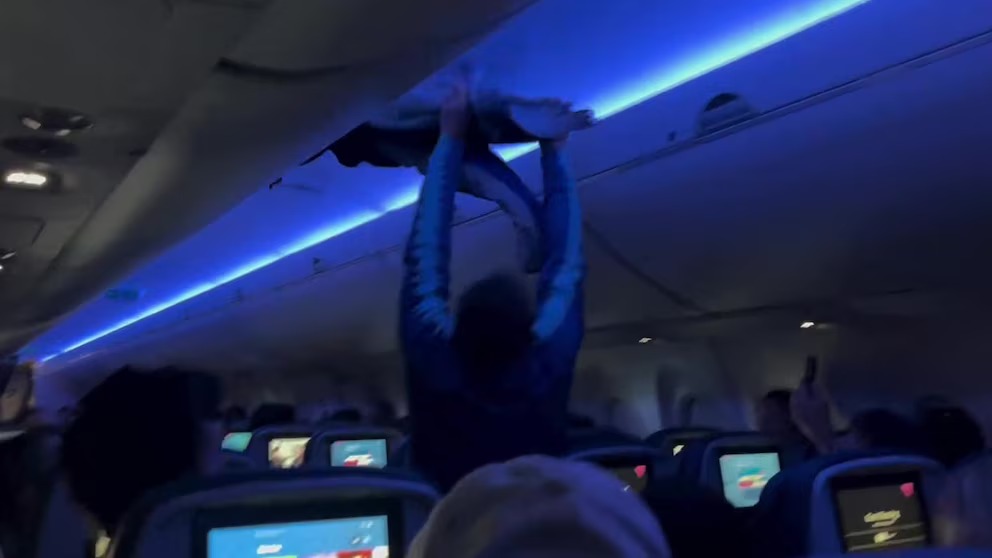 aves ingresaron a la cabina de un vuelo