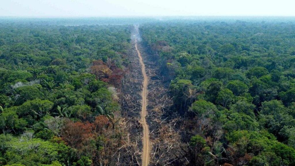 Los resultados negativos para la Amazonía se debieron “en gran parte a los incendios forestales que afectaron a la región en el segundo semestre de 2024”