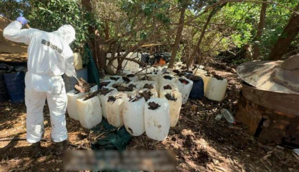 Fueron detenidas 386 personas y se confiscó un total de 76 toneladas de drogas, 51 de ellas de metanfetamina líquida y sólida