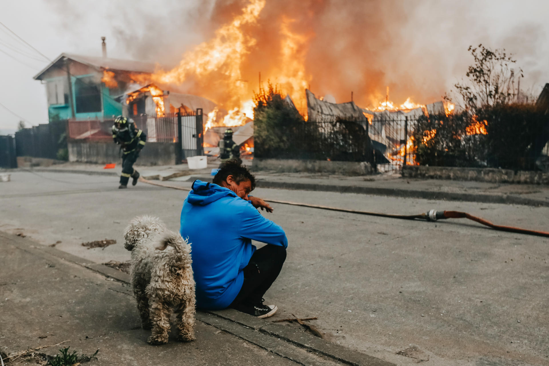 Incendios en el sur de Chile dejan 15 fallecidos y más de 50.000 ...