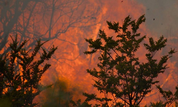 incendios en la Patagonia