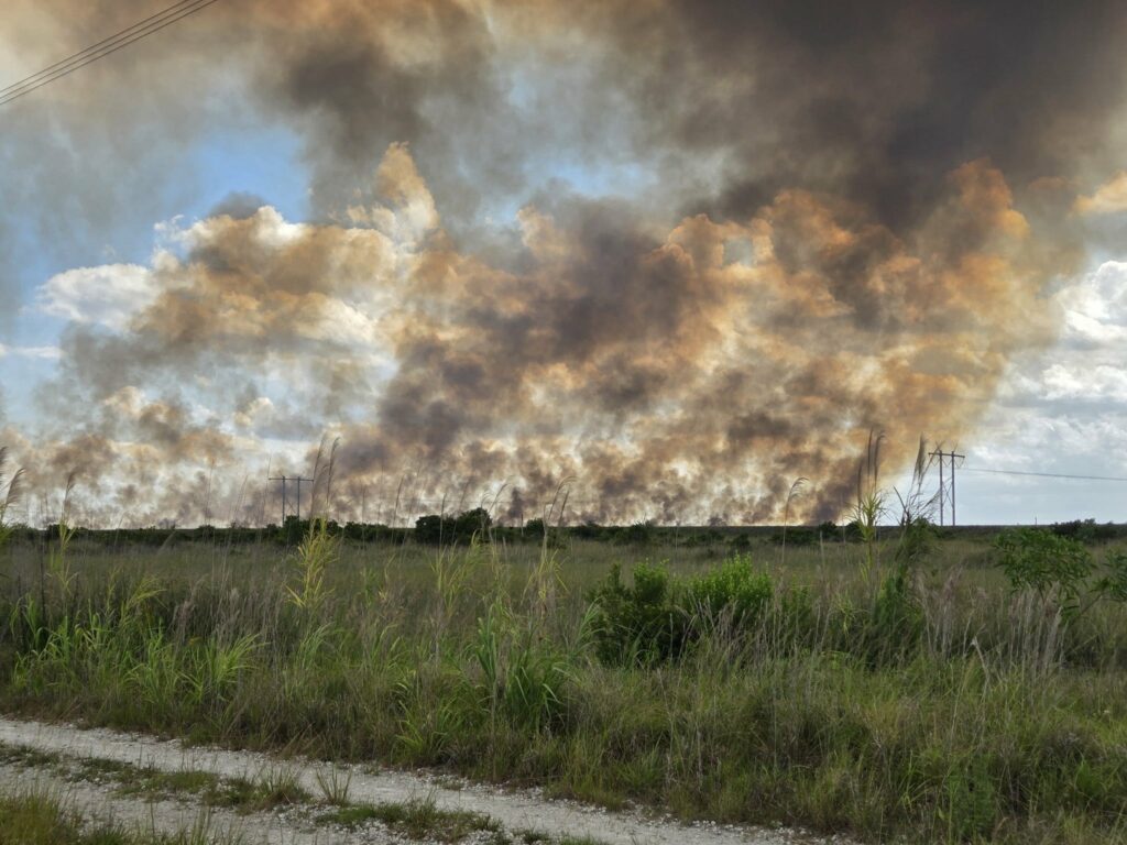 Fuertes incendios consumen los Everglades y provocan humo y cierres de carreteras en Florida