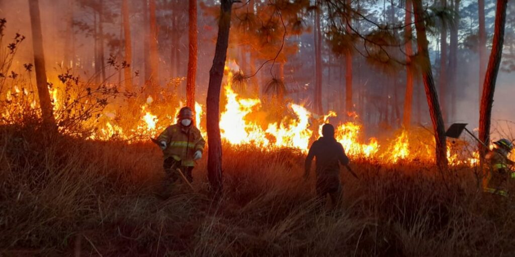 incendios en guatemala