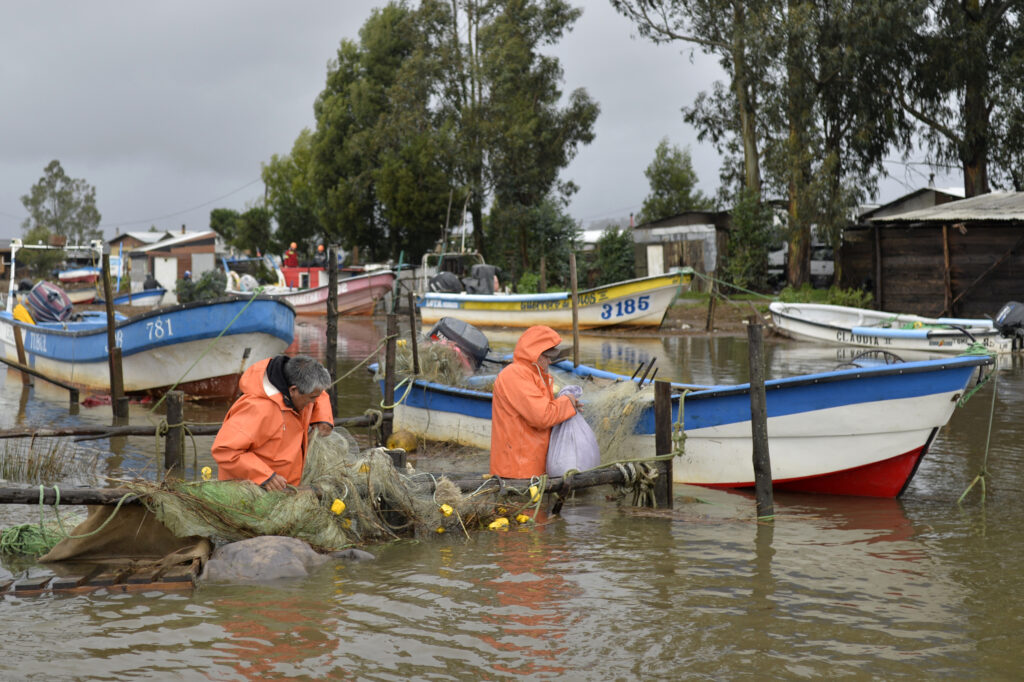 Más de medio millón de personas quedan sin luz en Chile por fuerte temporal