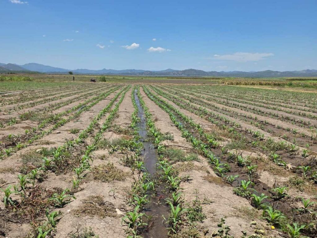fenómeno de El Niño