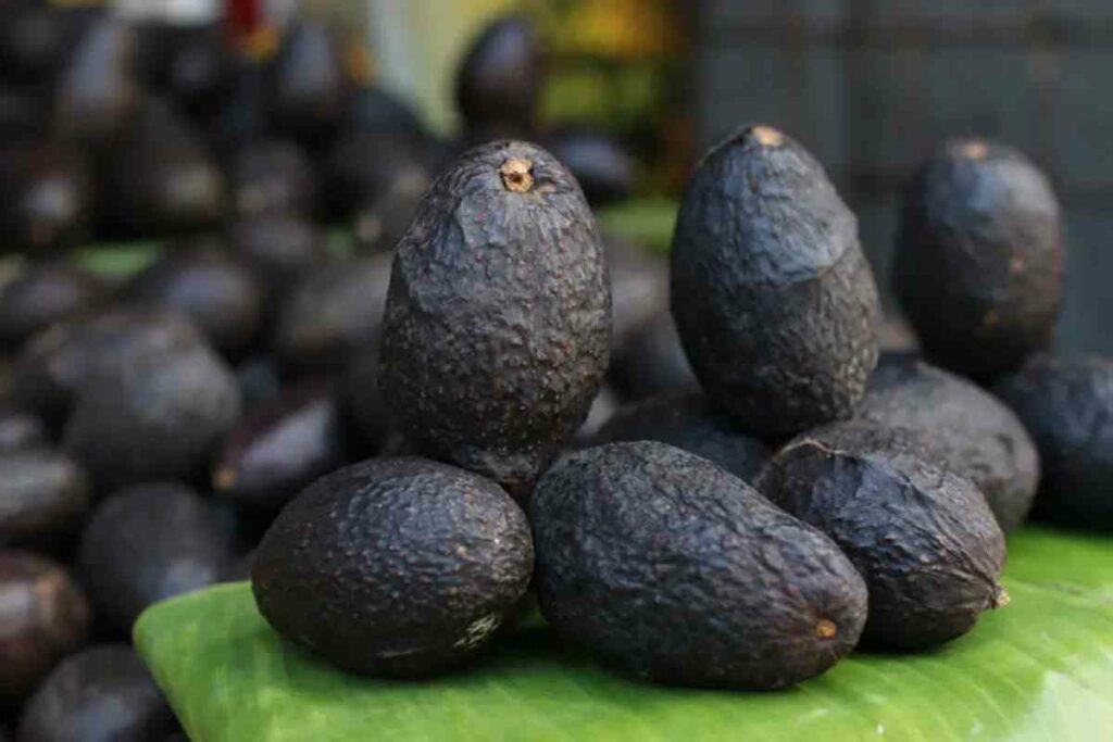 La medida impacta de forma directa la labor de los oficiales regulatorios del USDA encargados de verificar los empaques autorizados para exportar aguacate desde el estado mexicano