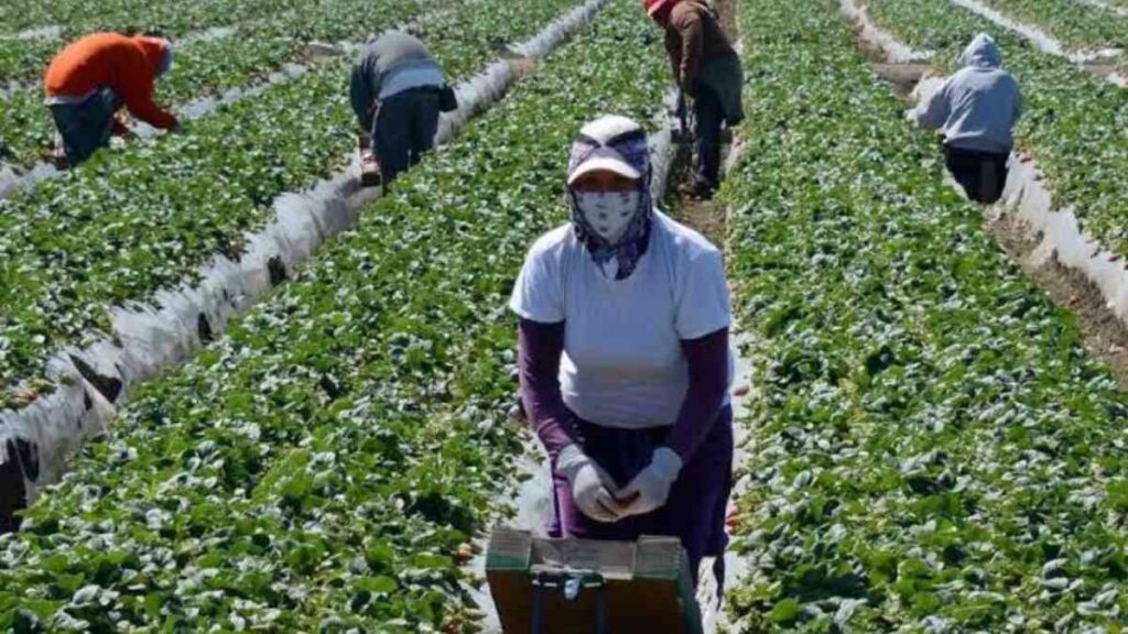 La Administración Trump estimó que la medida transferiría anualmente 2.460 millones de dólares en salarios de los trabajadores a los empleadores.