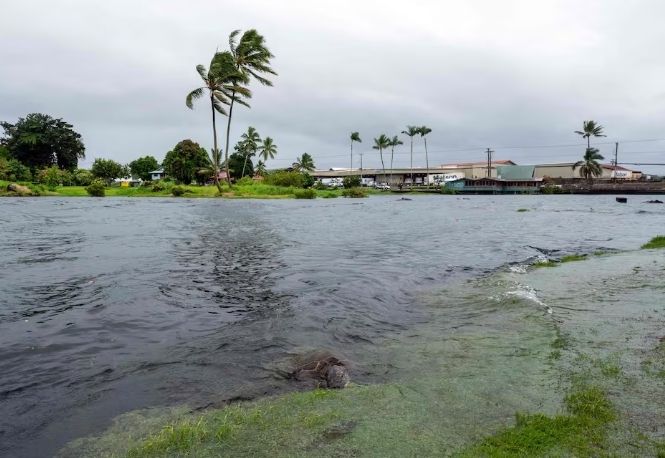 Alerta en Hawái: huracán Lala podría tocar tierra con lluvias y olas mortales