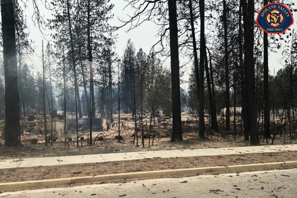 Incendios arrasan el noroeste de EEUU Oregón rompe récord histórico con 809.000 hectáreas quemadas