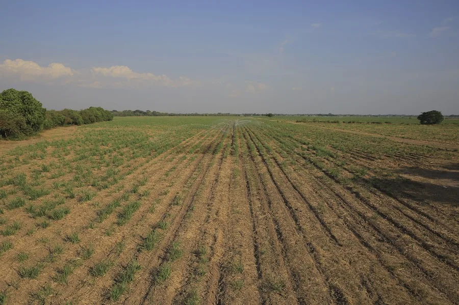 Emiten alerta roja en El Salvador para enfrentar la sequía provocada por El Niño