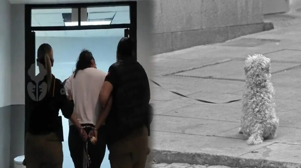 Capturan a mujer por la muerte de un perro