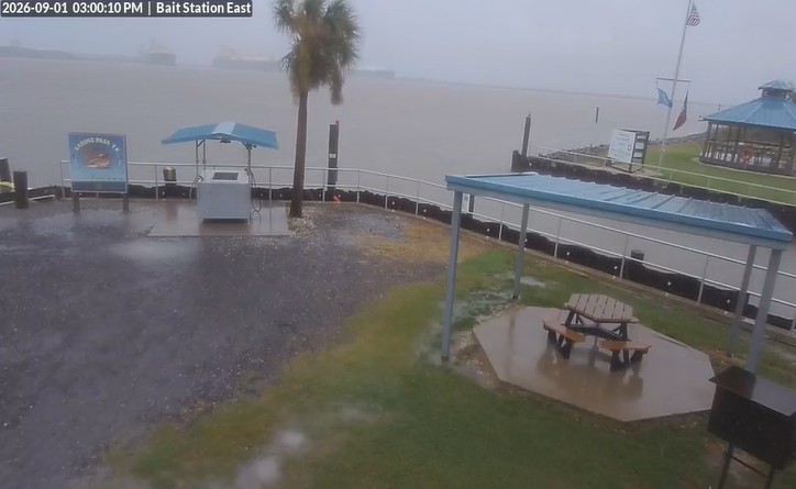 Tormenta Edouard deja inundaciones y miles sin electricidad tras tocar tierra en Luisiana 1