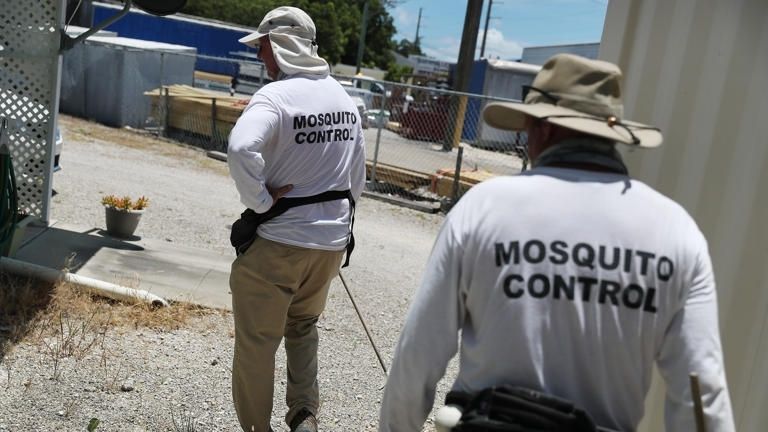 Florida en alerta por dengue: 190 contagios locales y una muerte