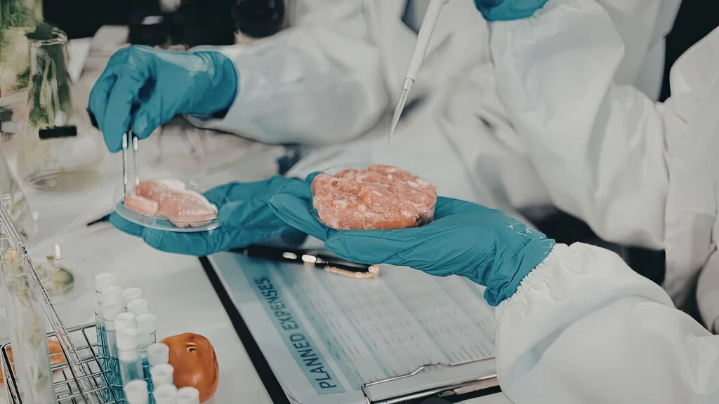 Carne cultivada: podría reducir el uso de tierra hasta un 90 %, pero aún enfrenta retos ambientales y económicos