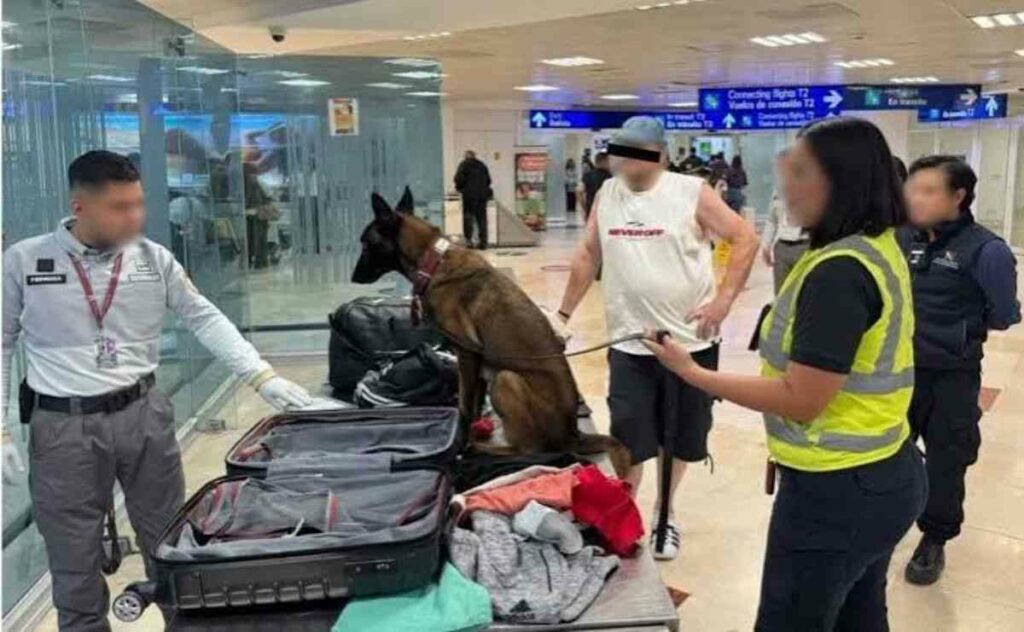 Esta inspección motivó una revisión detallada con el apoyo de un binomio canino y análisis tecnológicos especializados que arrojaron resultados compatibles con la sustancia ilícita.
