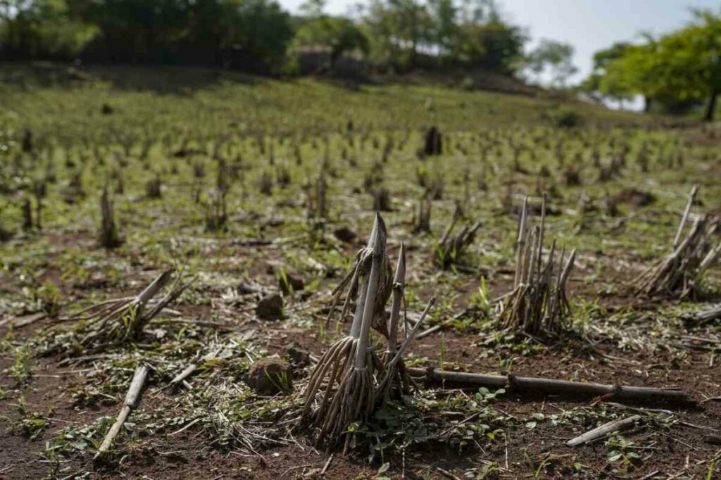 La sede diplomática en territorio salvadoreño explicó, en un mensaje en la red social X, que 25 millones de dólares están siendo canalizados a través de Naciones Unidas
