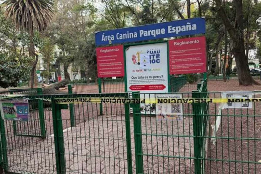 La Fiscalía General de Justicia capitalina abrió una carpeta de investigación por maltrato animal tras una alerta emitida desde una clínica veterinaria cercana, a donde varios canes llegaron con síntomas de intoxicación.