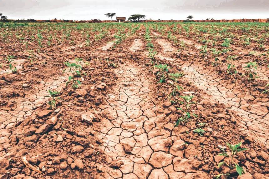 Declaran estado de emergencia en El Salvador por sequía provocada por fenómeno de El Niño