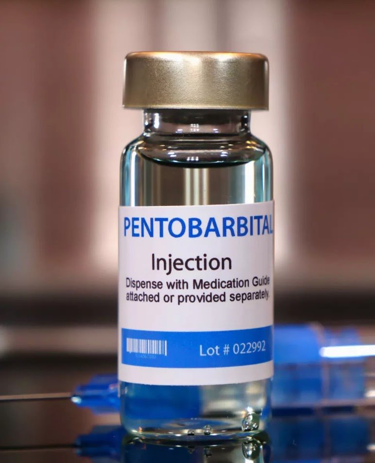 pentobarbital